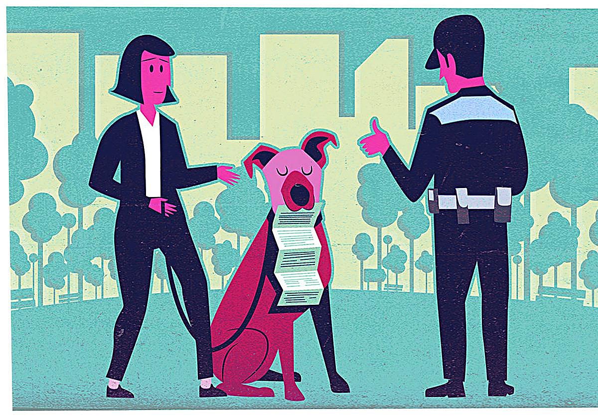 ¿Estamos preparados para la nueva ley animal?