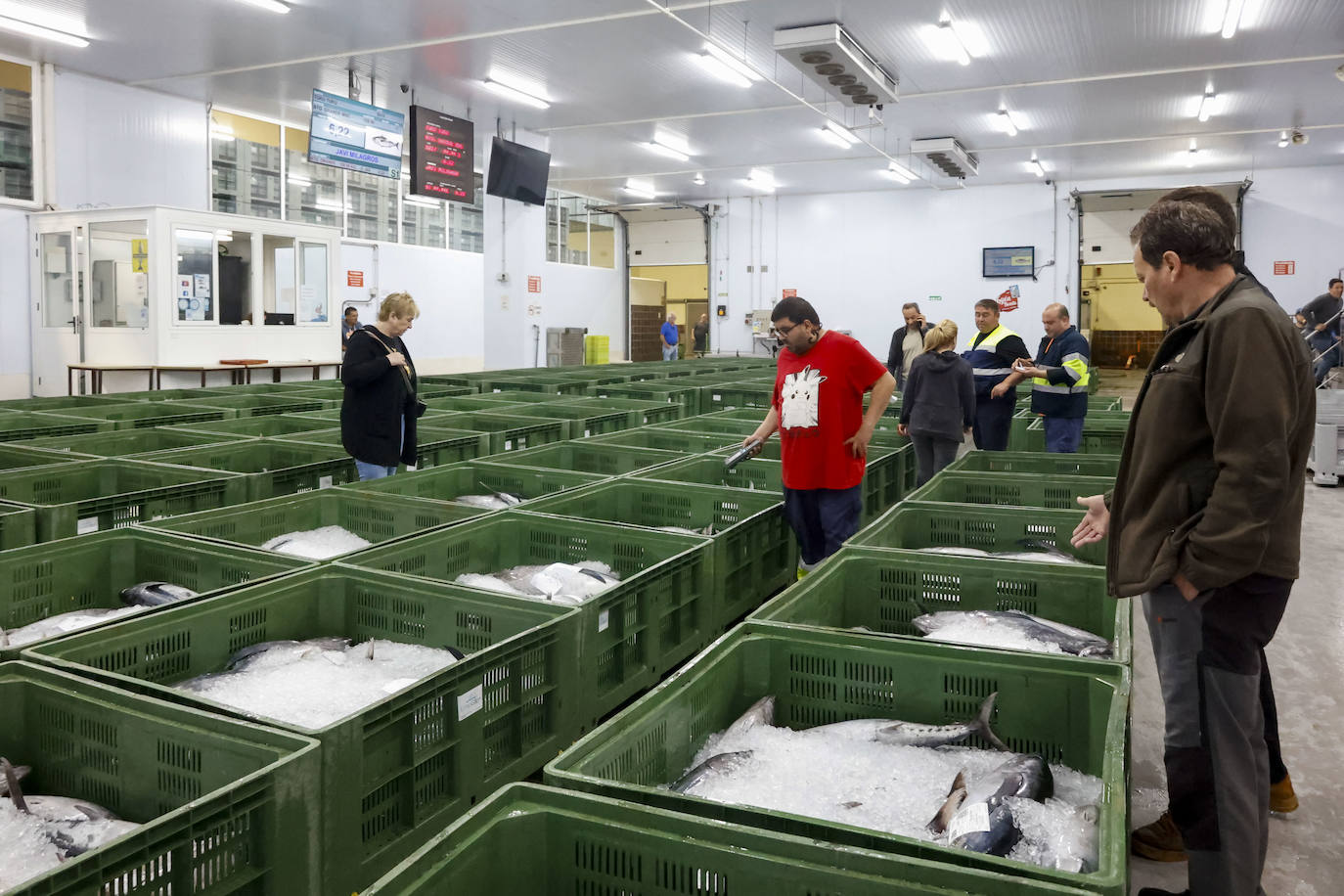 40.000 kilos en la primera gran subasta de bonito en la rula de Gijón