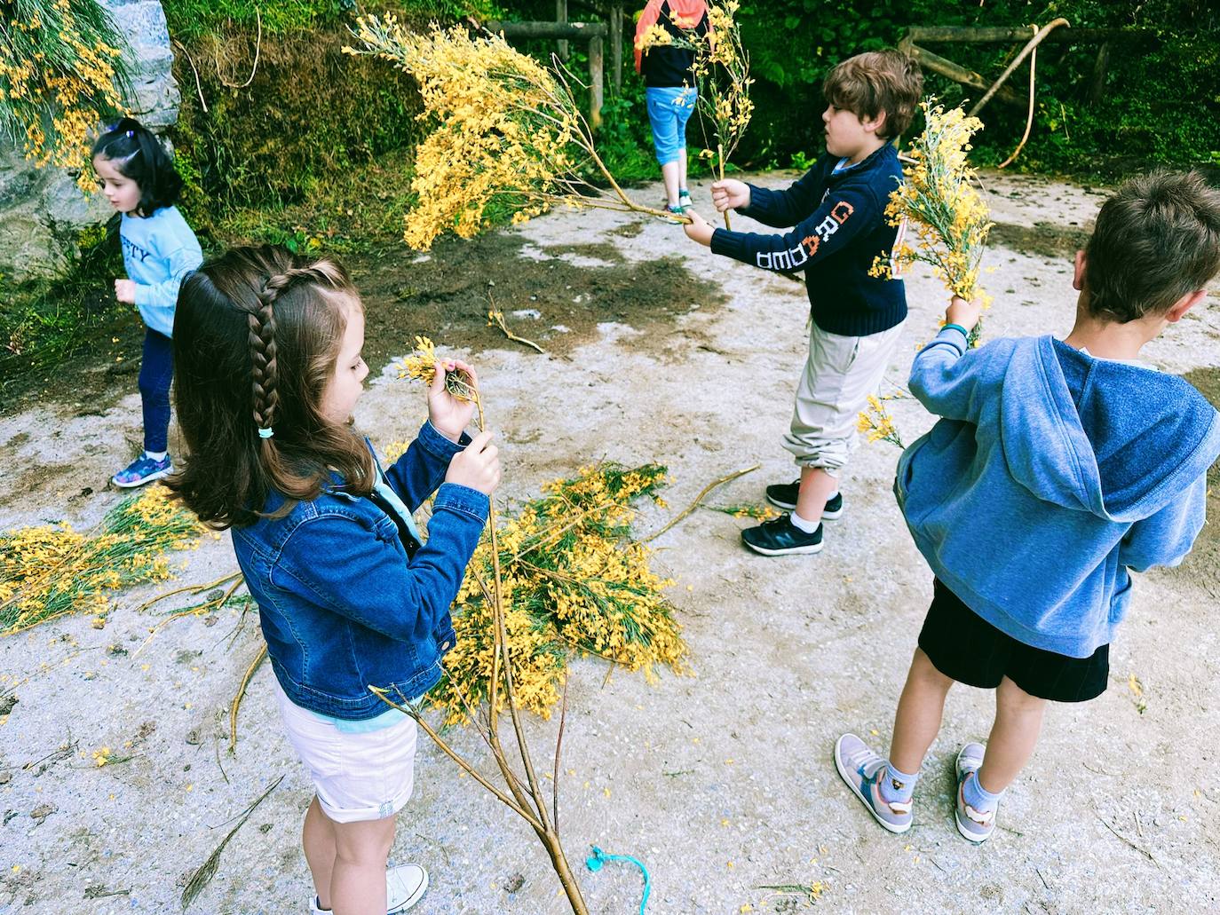 Limés enrama entre generaciones