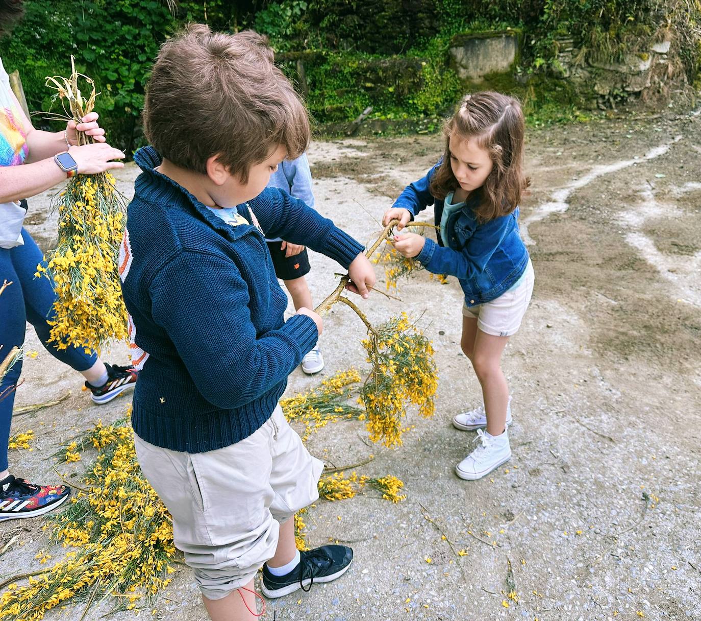 Limés enrama entre generaciones