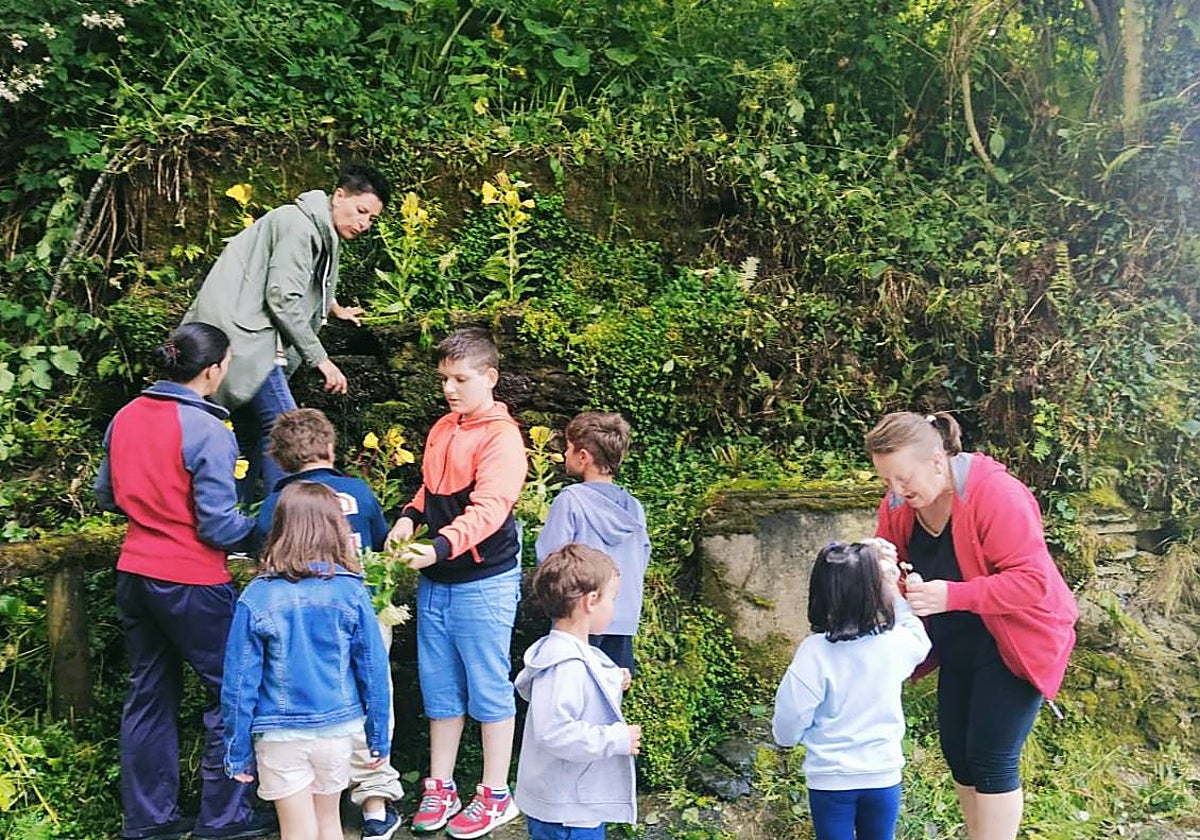 Limés enrama entre generaciones