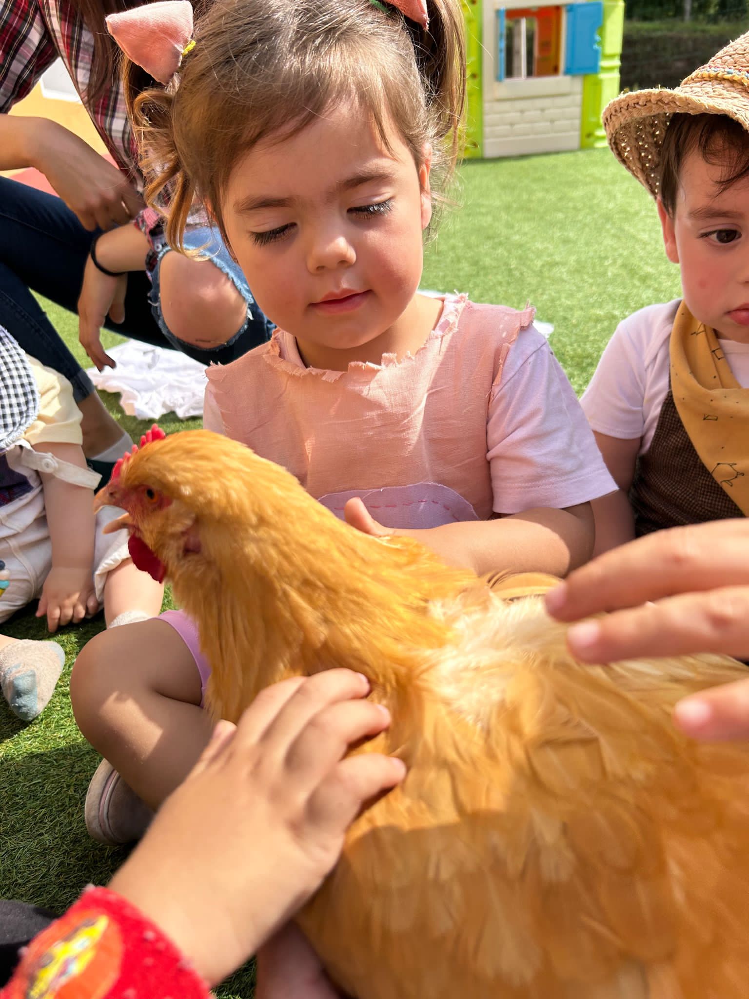 La gallina 'Catalina' da clases en Cabranes