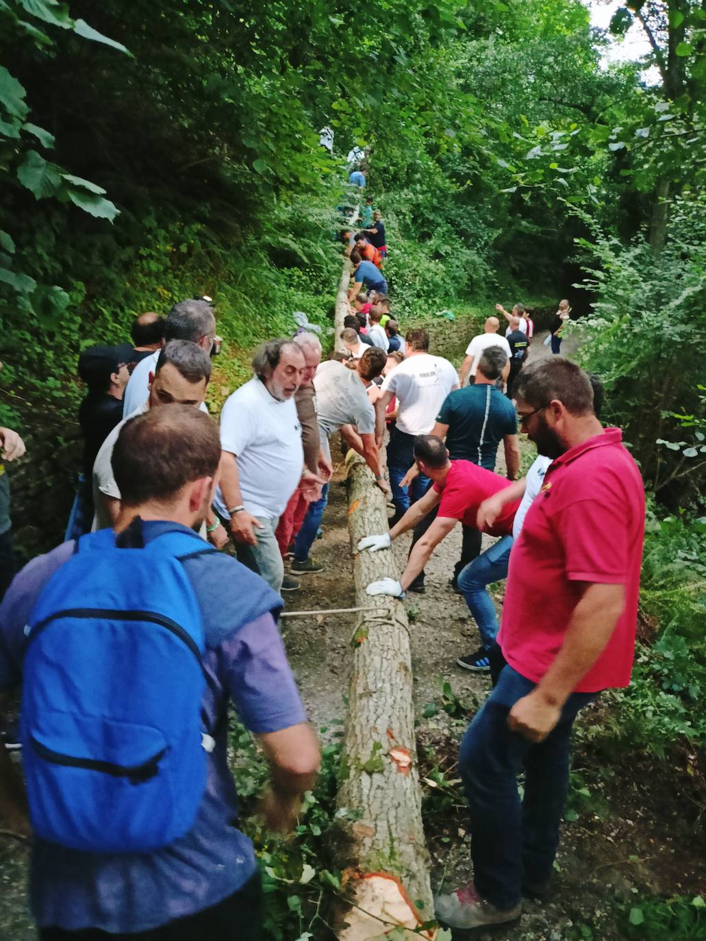 Así ha sido la festividad del arbolón en Cangas del Narcea