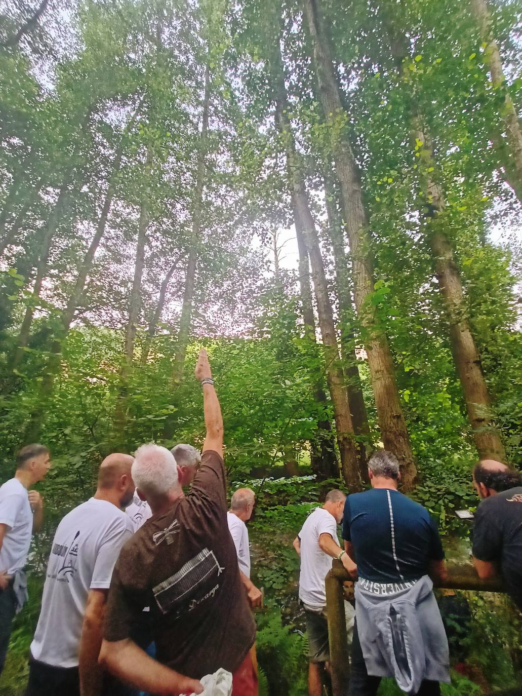 Así ha sido la festividad del arbolón en Cangas del Narcea