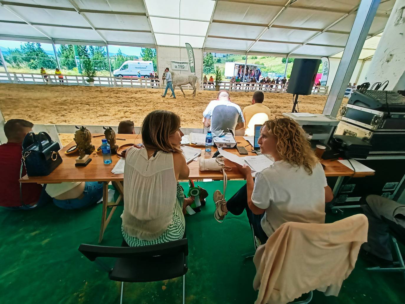 Las mejores imágenes del concurso de caballos de Tineo