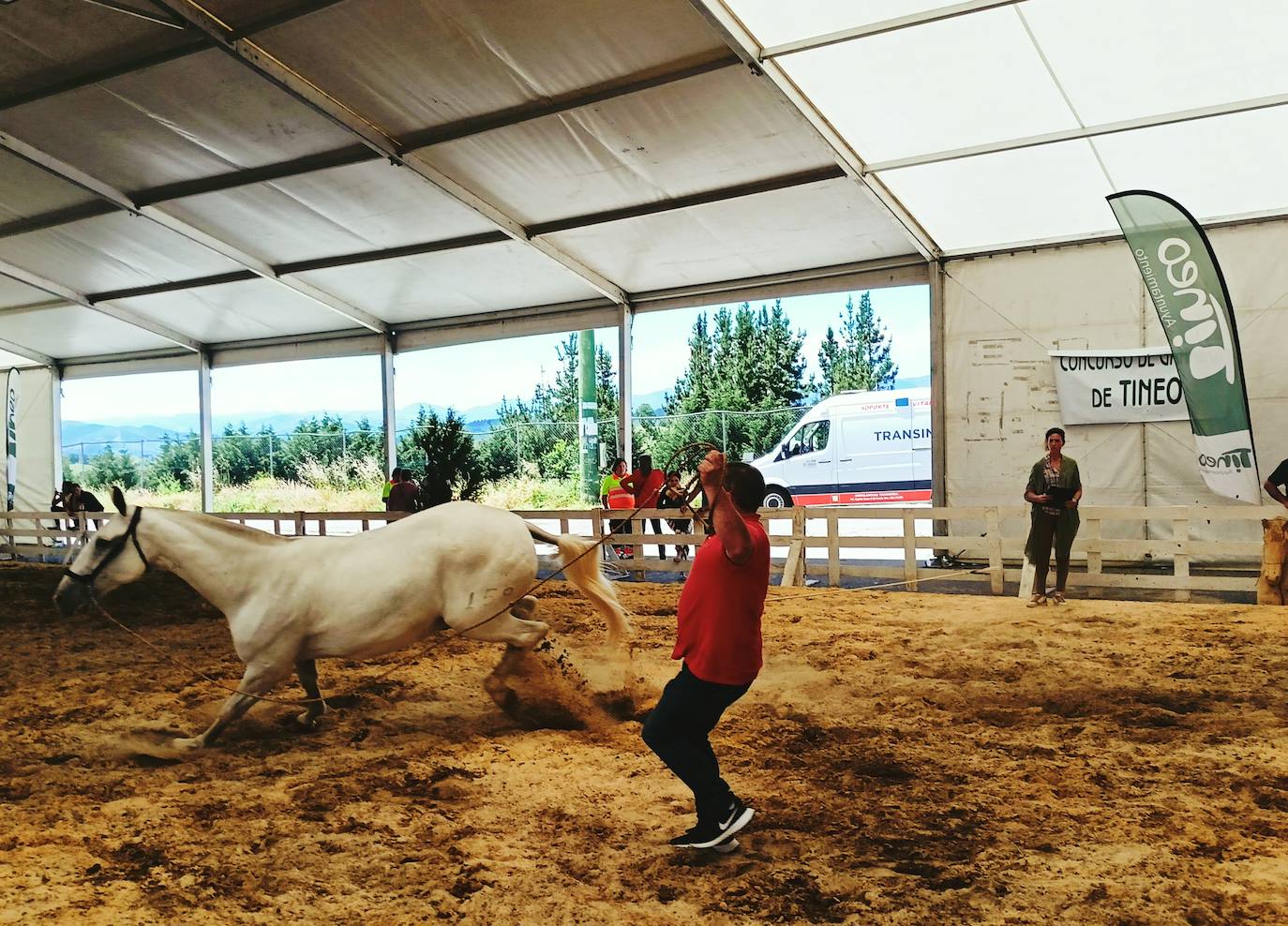 Las mejores imágenes del concurso de caballos de Tineo