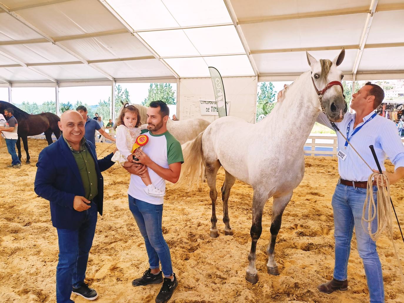 Las mejores imágenes del concurso de caballos de Tineo