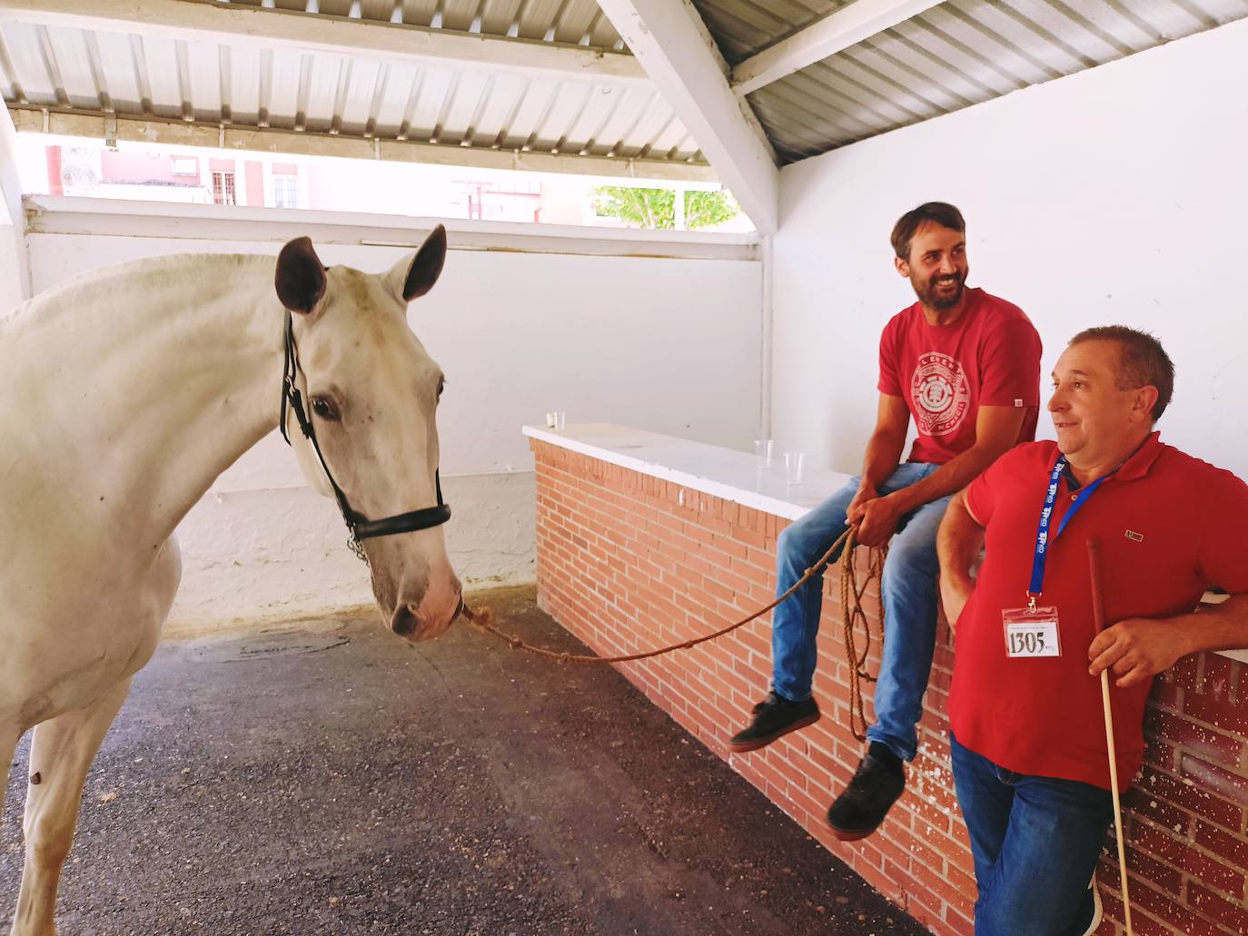 Las mejores imágenes del concurso de caballos de Tineo