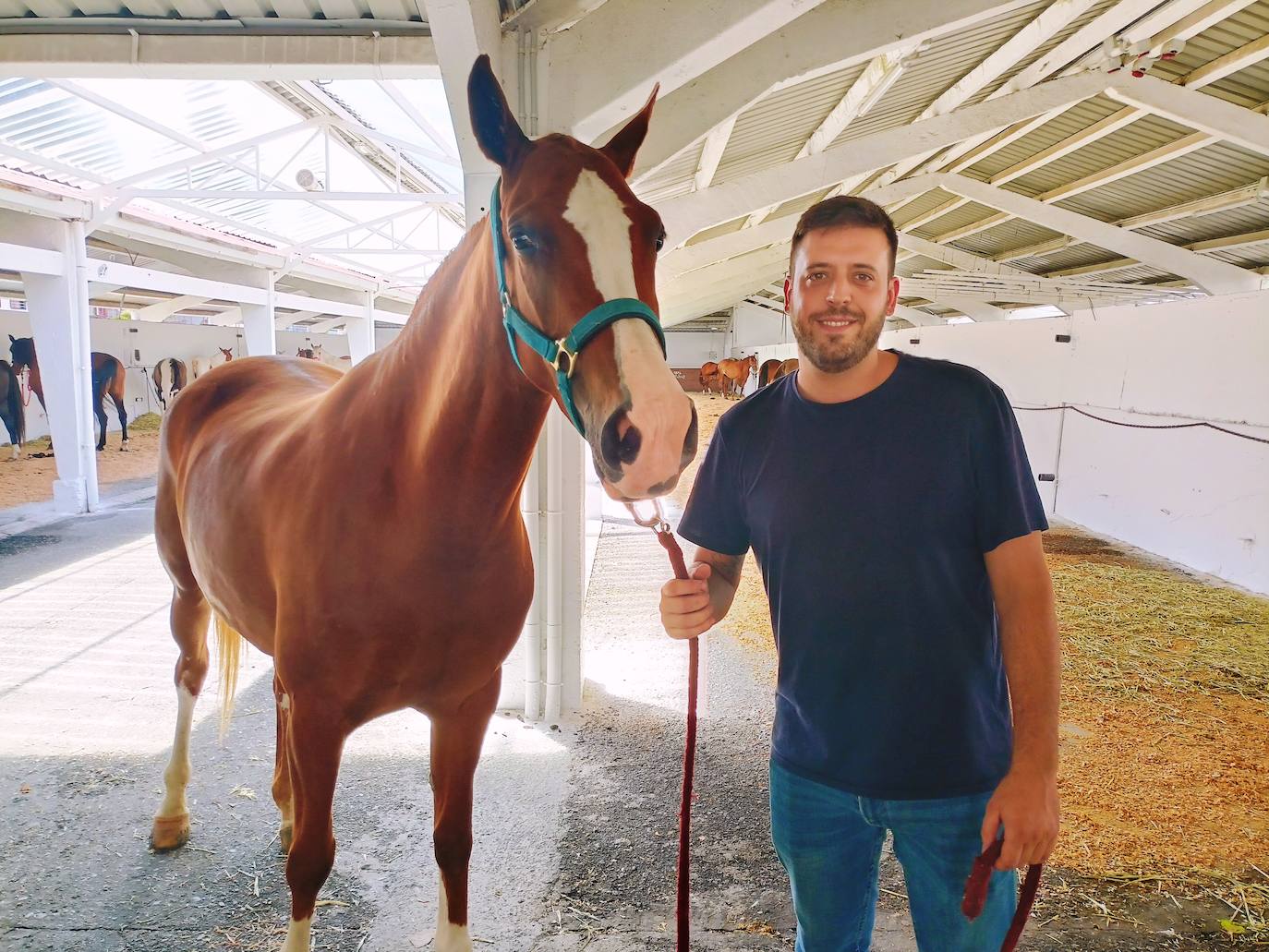 Las mejores imágenes del concurso de caballos de Tineo