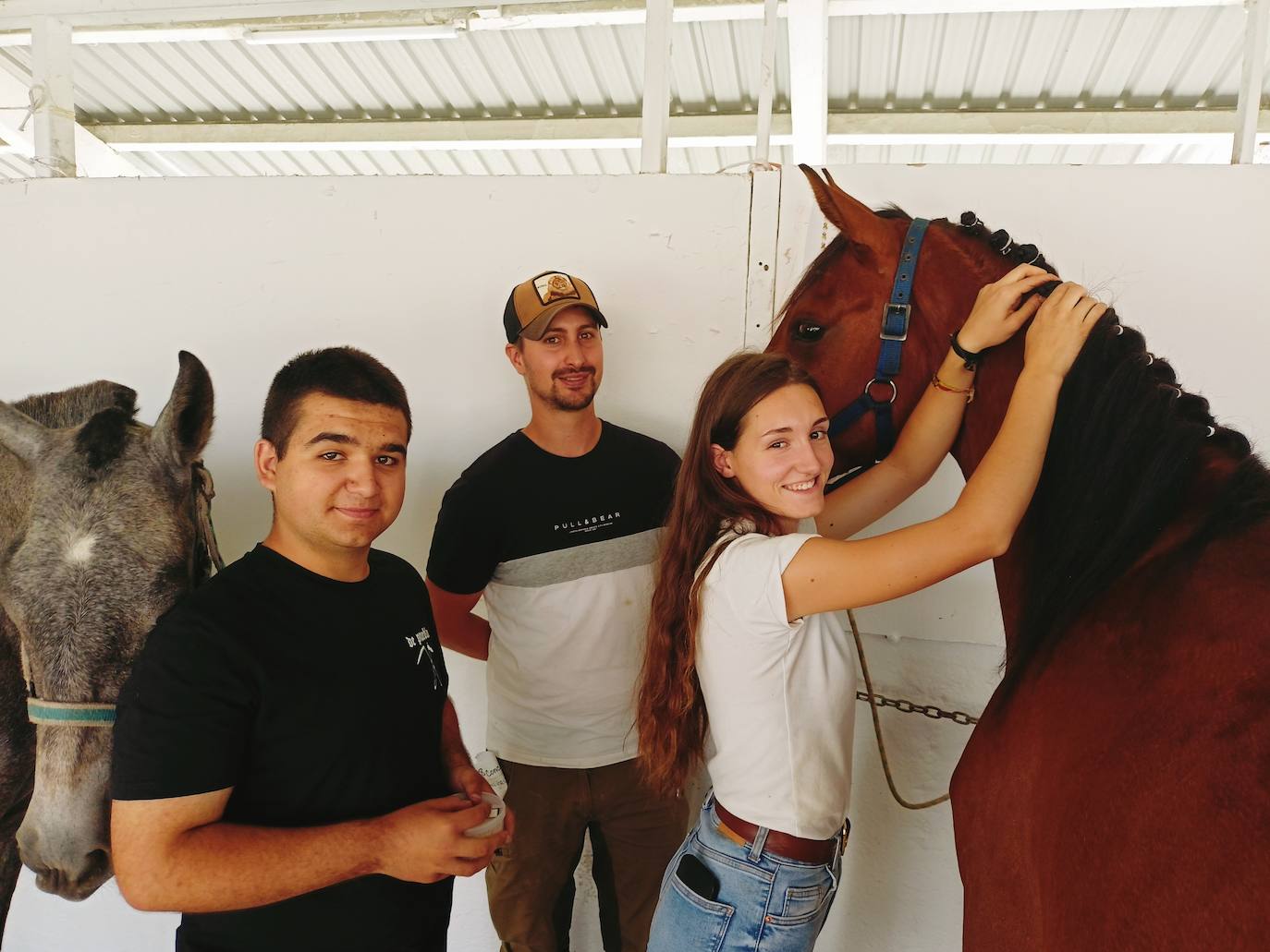 Las mejores imágenes del concurso de caballos de Tineo