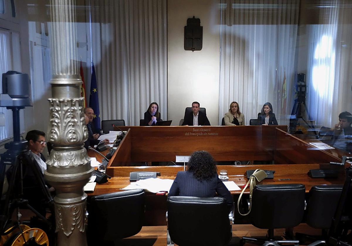 Una de las comparecencias de la comisión del Gitpa.