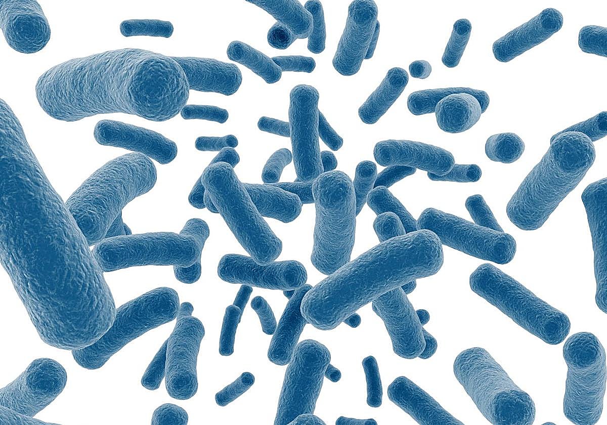 Imagen genérica de bacterias.