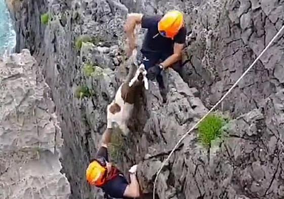 Dos bomberos participaron en el rescate de la cabra.