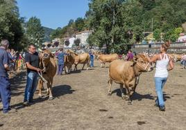 San Martín aumenta las ayudas a los ganaderos para la feria de septiembre