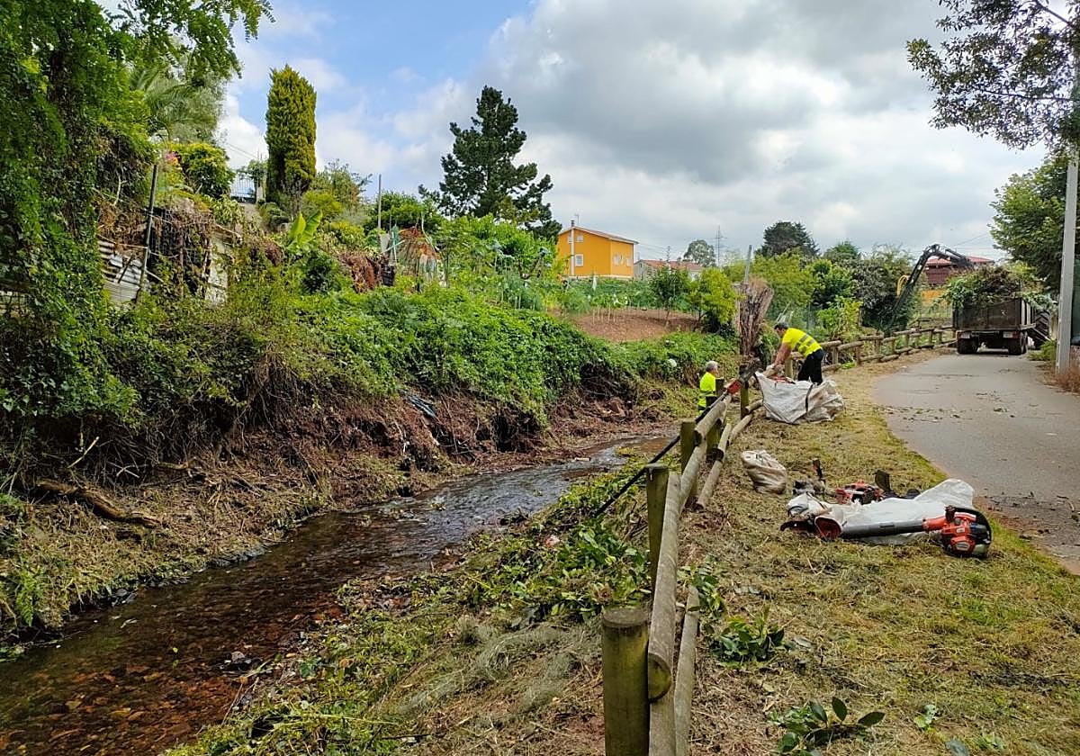 Trabajadores realizando las labores de mantenimiento en el río Arlós.