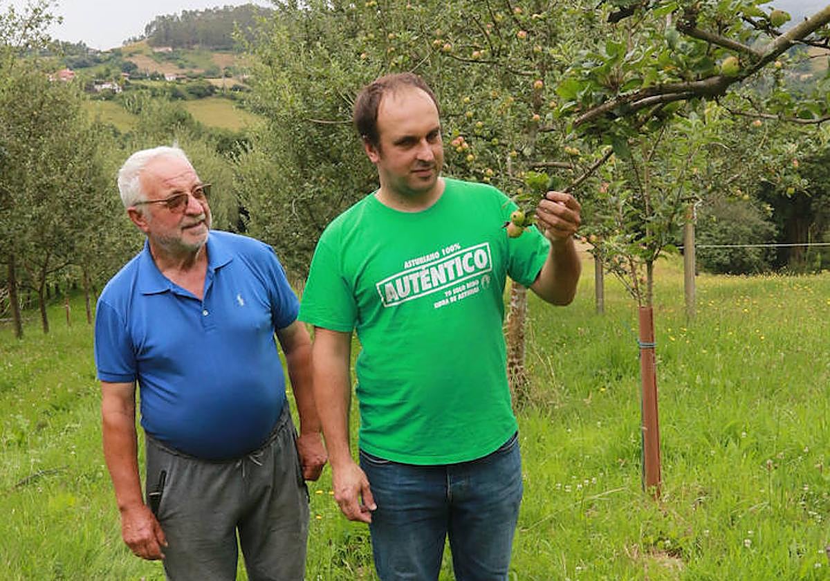 Ignacio Gómez Dosil comenta el calibre de las manzanas de su finca con su padre, Andrés Gómez.