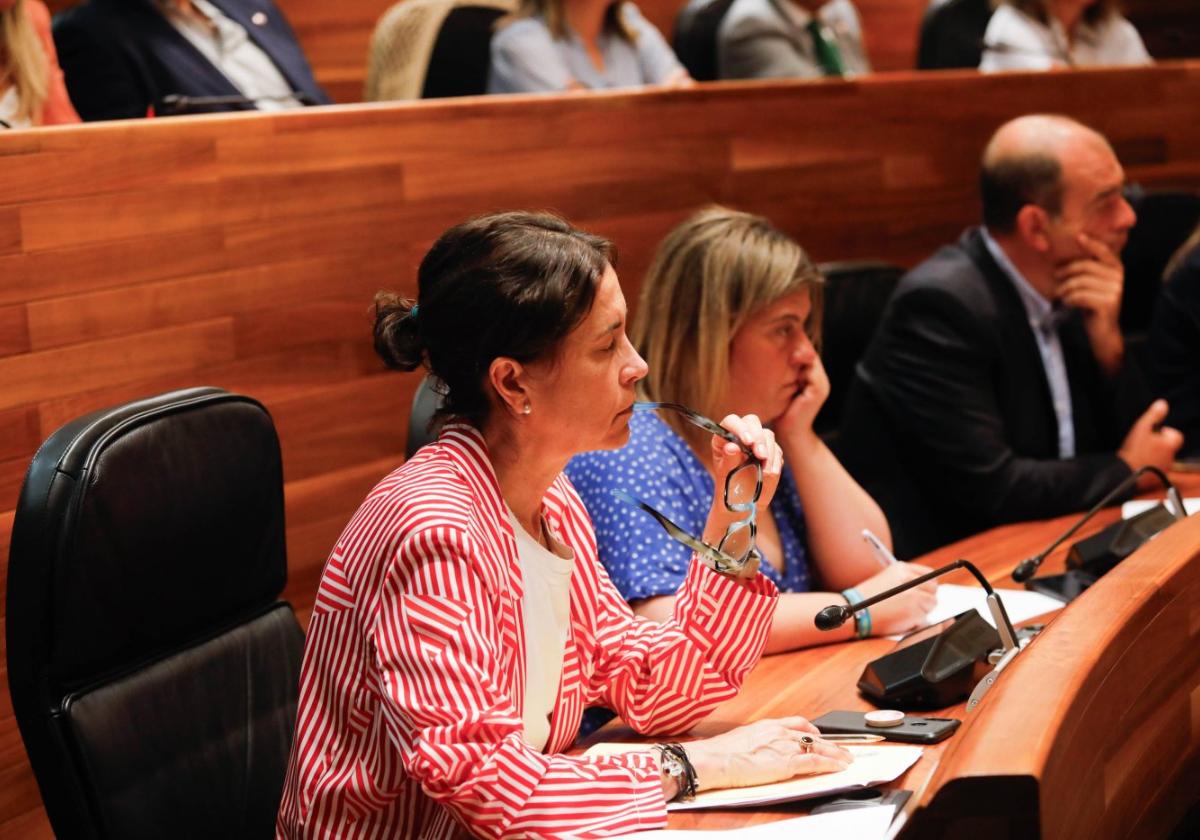 La portavoz del Grupo socialista en la Junta General, Dolores Carcedo, sigue la intervención de Barbón.