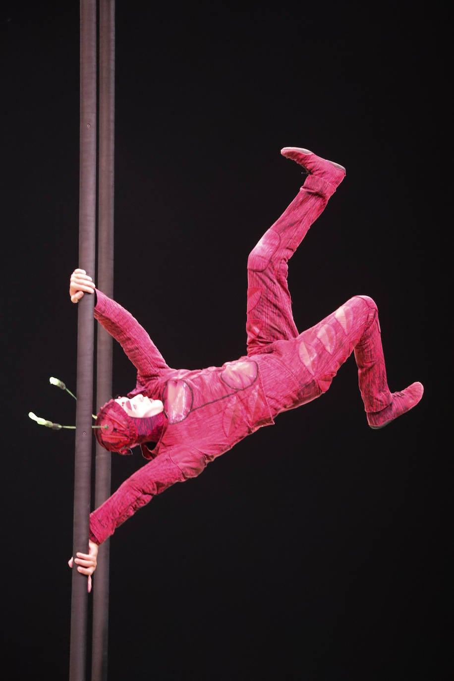 Eclosión de talento, destreza y belleza en &#039;Ovo&#039;