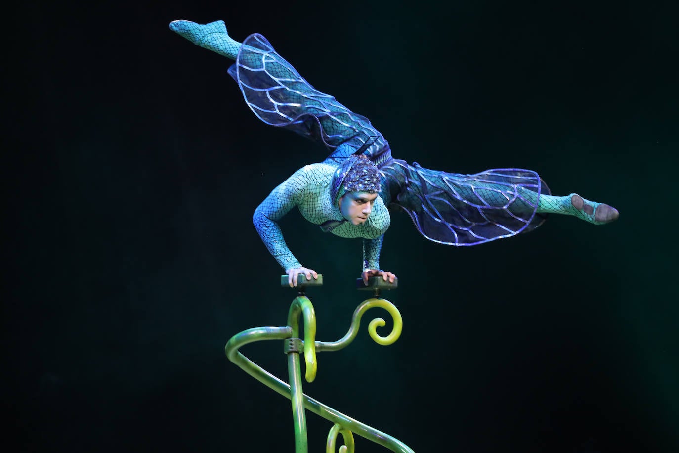 Eclosión de talento, destreza y belleza en &#039;Ovo&#039;