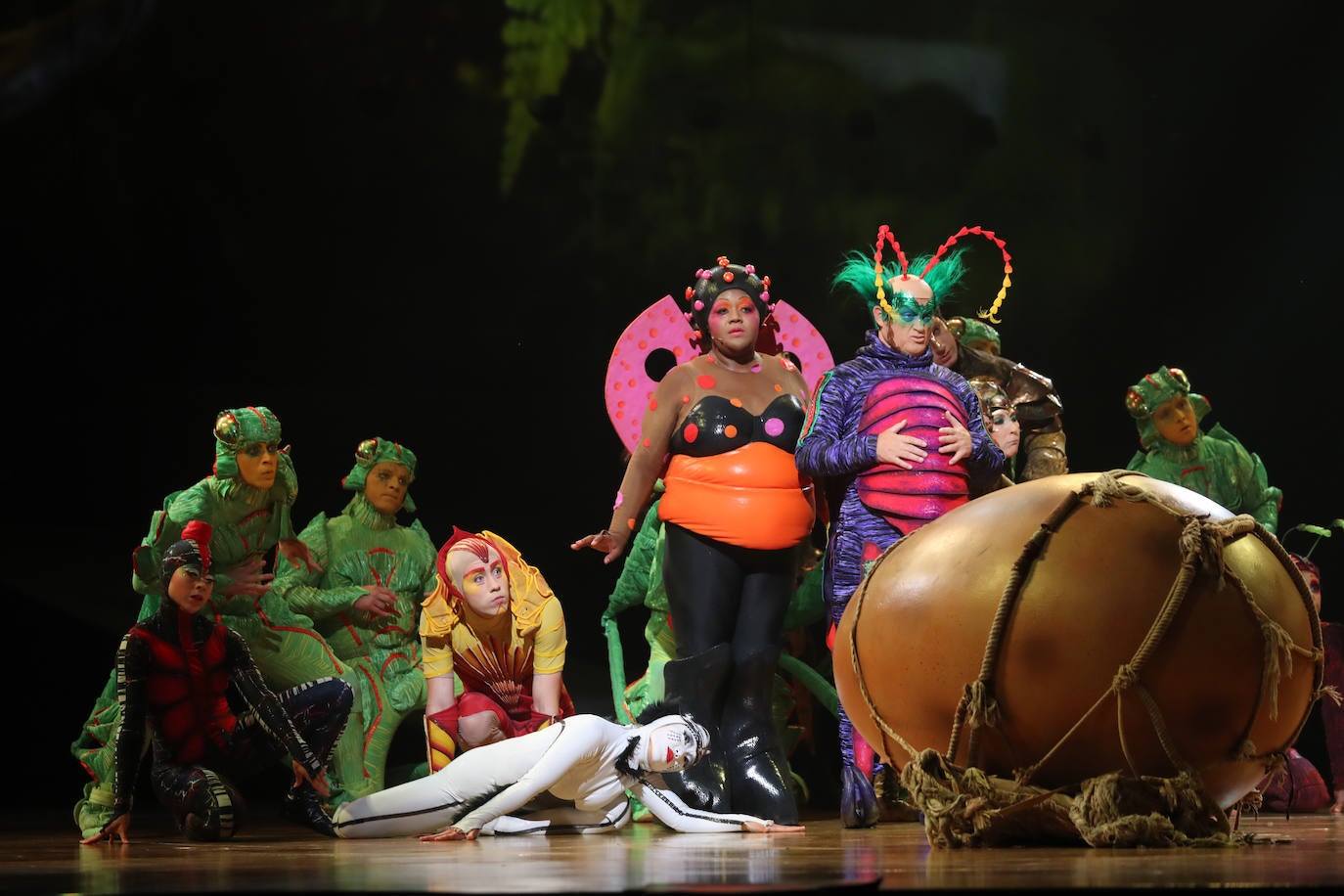 Eclosión de talento, destreza y belleza en &#039;Ovo&#039;