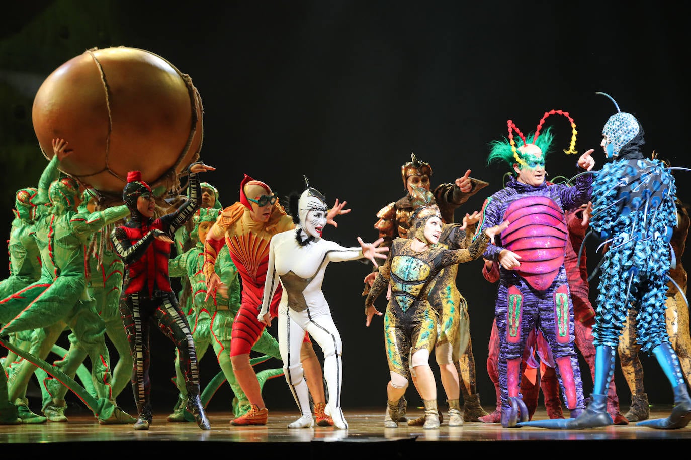 Eclosión de talento, destreza y belleza en &#039;Ovo&#039;