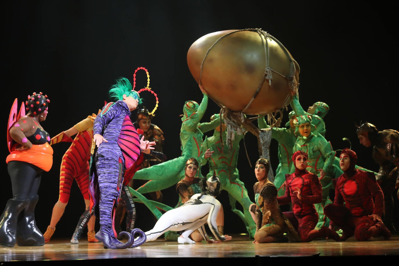 Eclosión de talento, destreza y belleza en &#039;Ovo&#039;