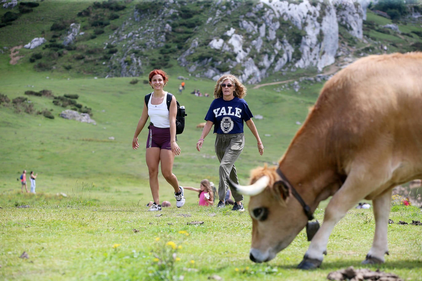 Los turistas vuelven a los Lagos de Covadonga