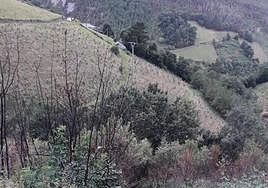 Zona en la que se produjo el accidente.