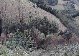 Zona en la que se produjo el accidente.