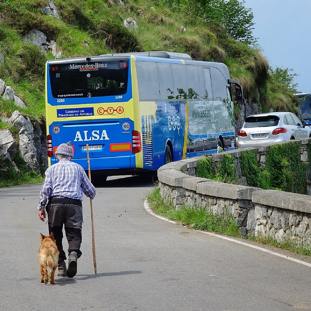 El Principado, dispuesto a debatir de nuevo el tren cremallera a los Lagos tras 25 años de estudios