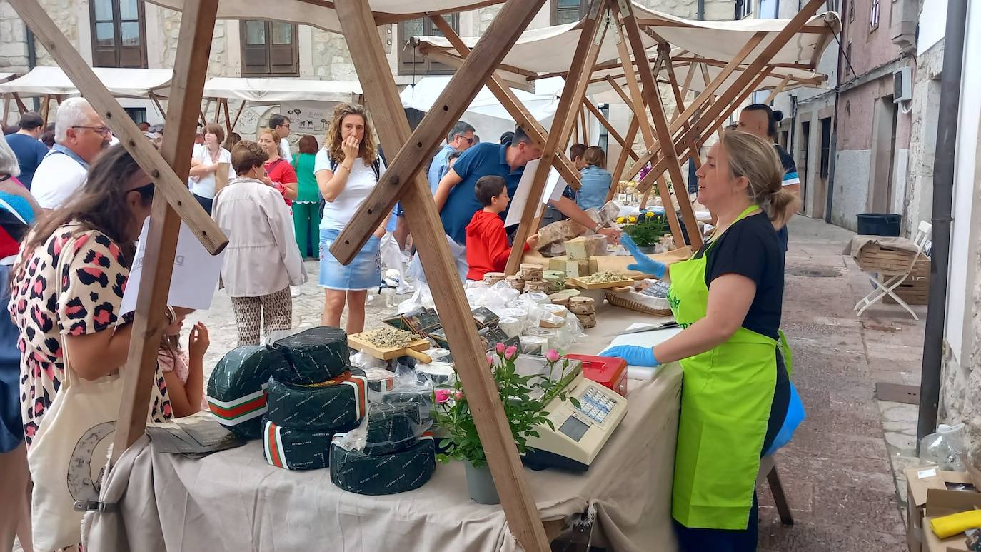 Quesos artesanos en Llanes