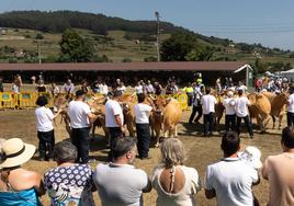 Concurso de ganado y feria ecológica en Llanera