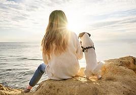 Saber ver las señales de un golpe de calor a tiempo puede suponer la diferencia entre la vida y la muerte de la mascota.