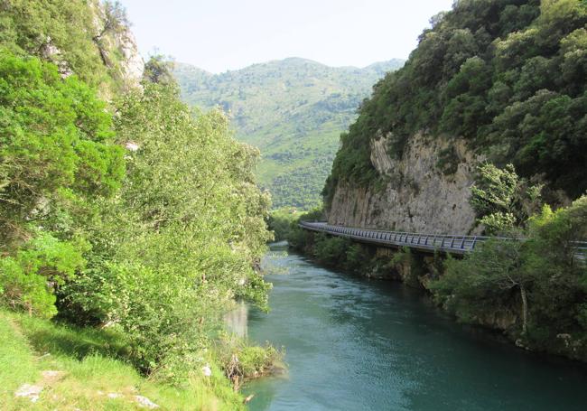 El río Cares, a su paso por Niserias.