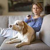 El cambio para los propietarios de perros que entrará en vigor en un mes