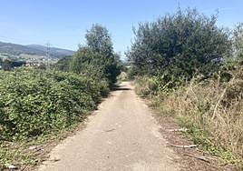 El camino de la zona de La Piniecha, en el pueblo de Setienes (Valdés), donde un ganadero localizó el cadáver de un hombre el pasado martes.