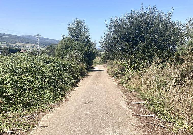 El camino de la zona de La Piniecha, en el pueblo de Setienes (Valdés), donde un ganadero localizó el cadáver