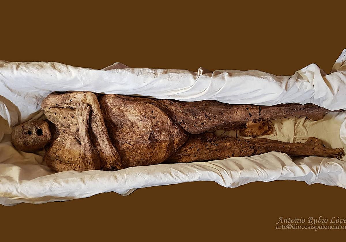 Restos de la reina Doña Urraca, expuestos en la Catedral de Palencia.