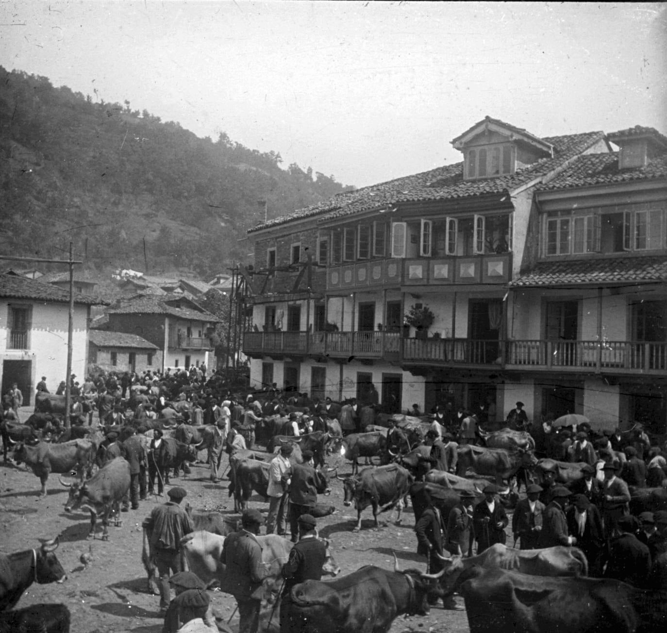 Mieres. Mercado de ganado