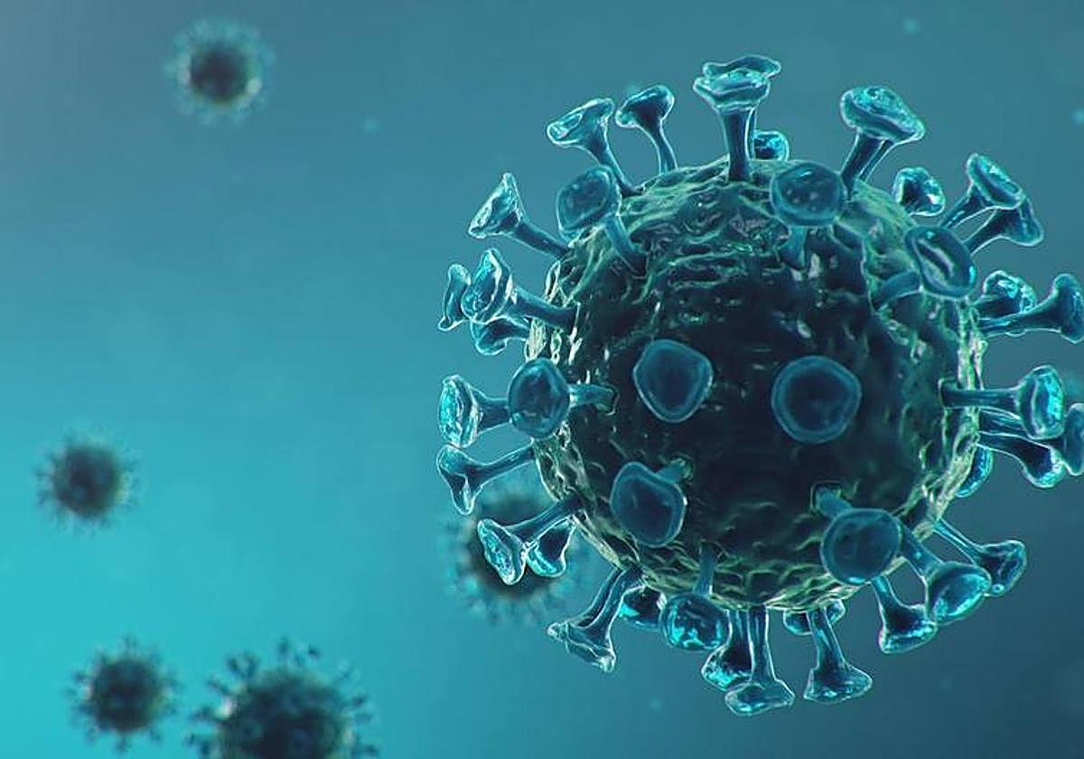 La OMS alerta de la «preocupante tendencia» de covid: «Se están reinfectando millones de personas»