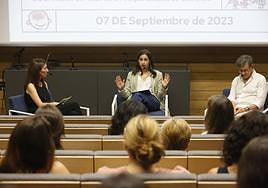 Una de las ponencias en la Escuela de Comercio, en Gijón.