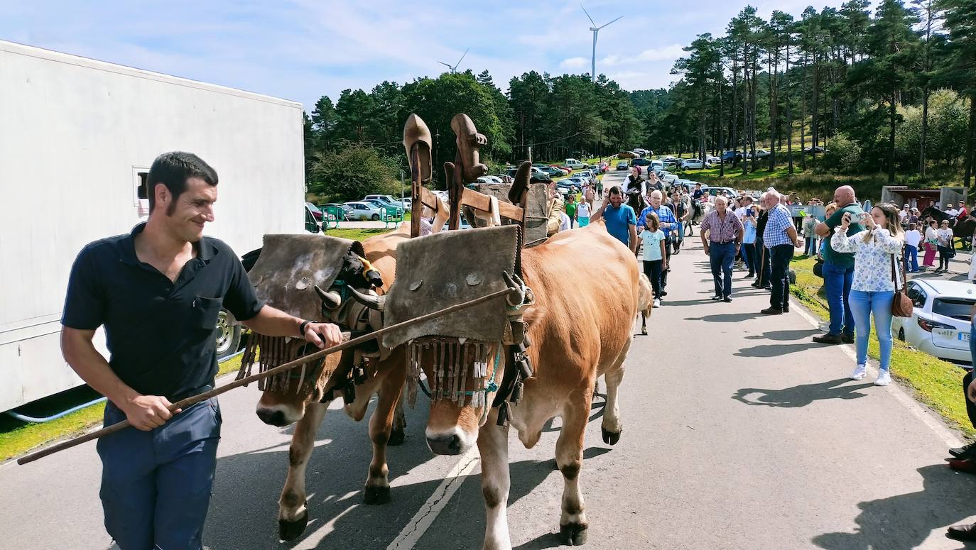 Tradición y homenaje en la Fiesta de la Trashumancia