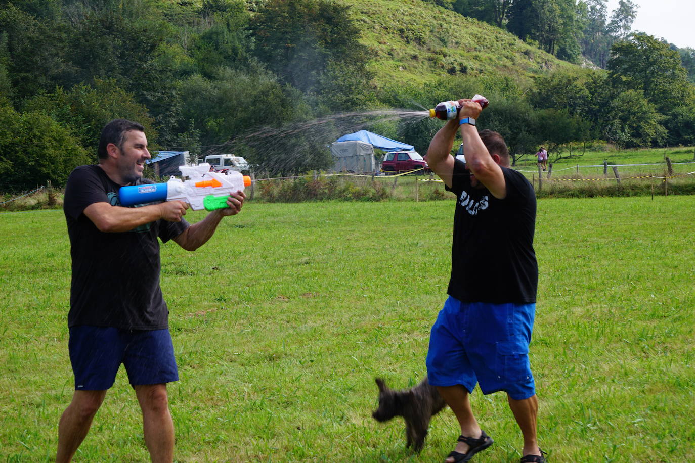Llamigu batalla entre vino