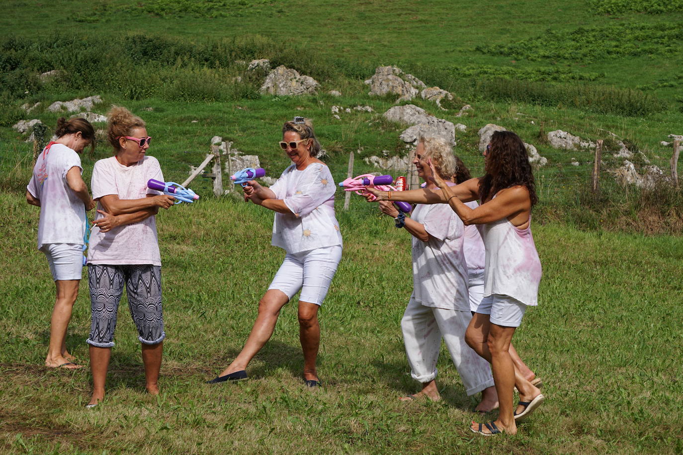 Llamigu batalla entre vino