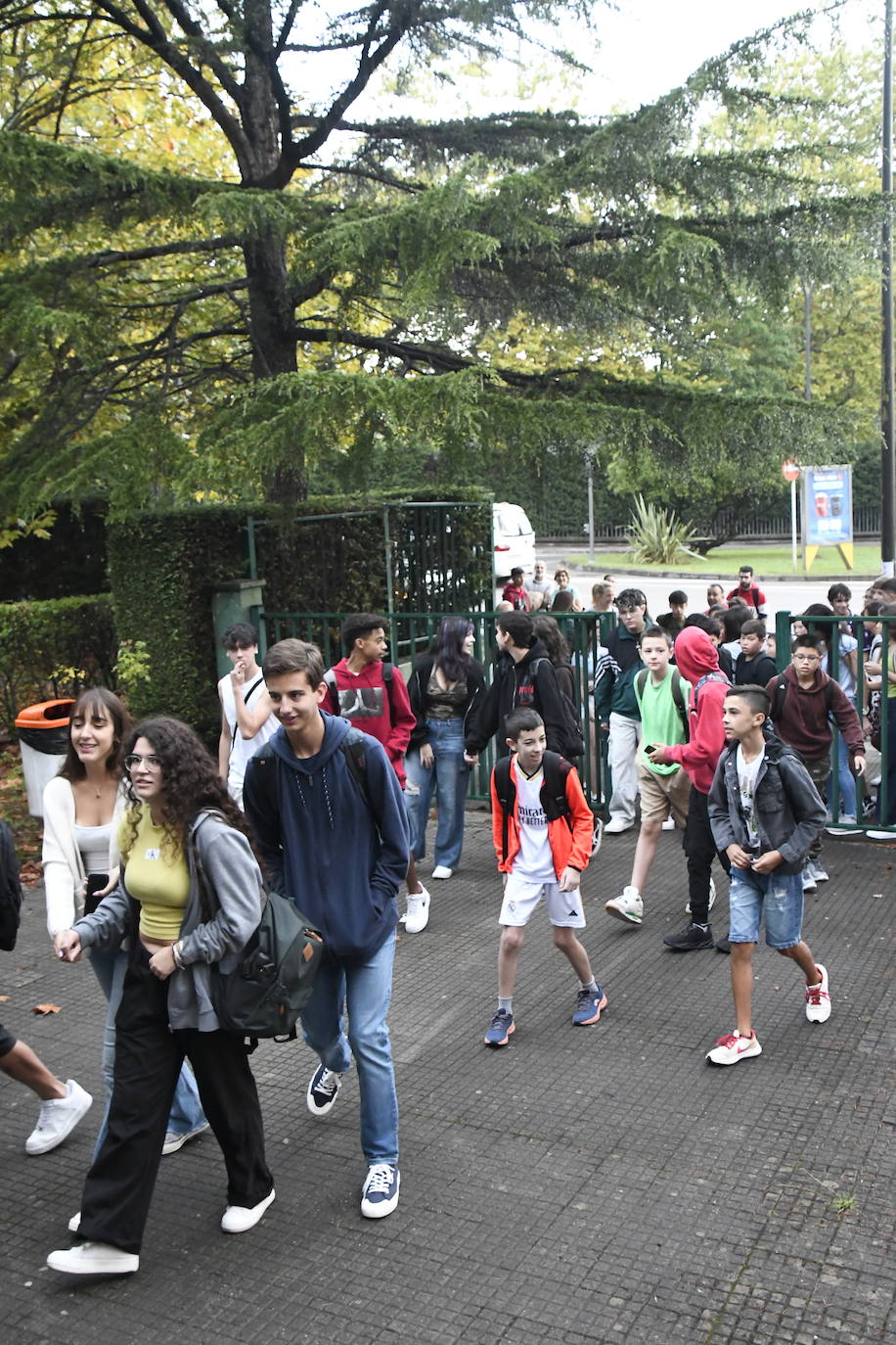 IES Carreño Miranda 