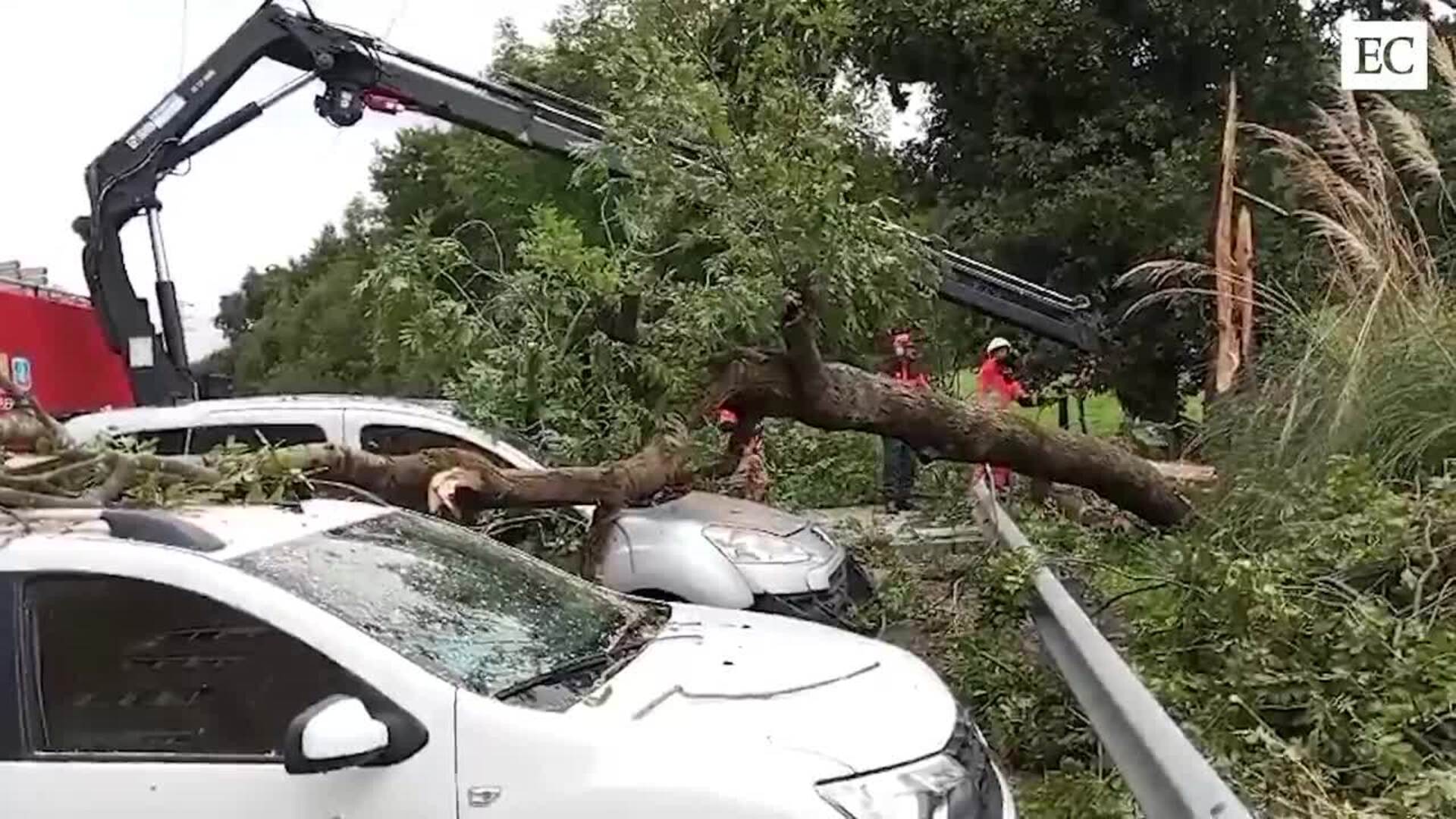 La tormenta tira un árbol en Oviedo y cae sobre un vehículo