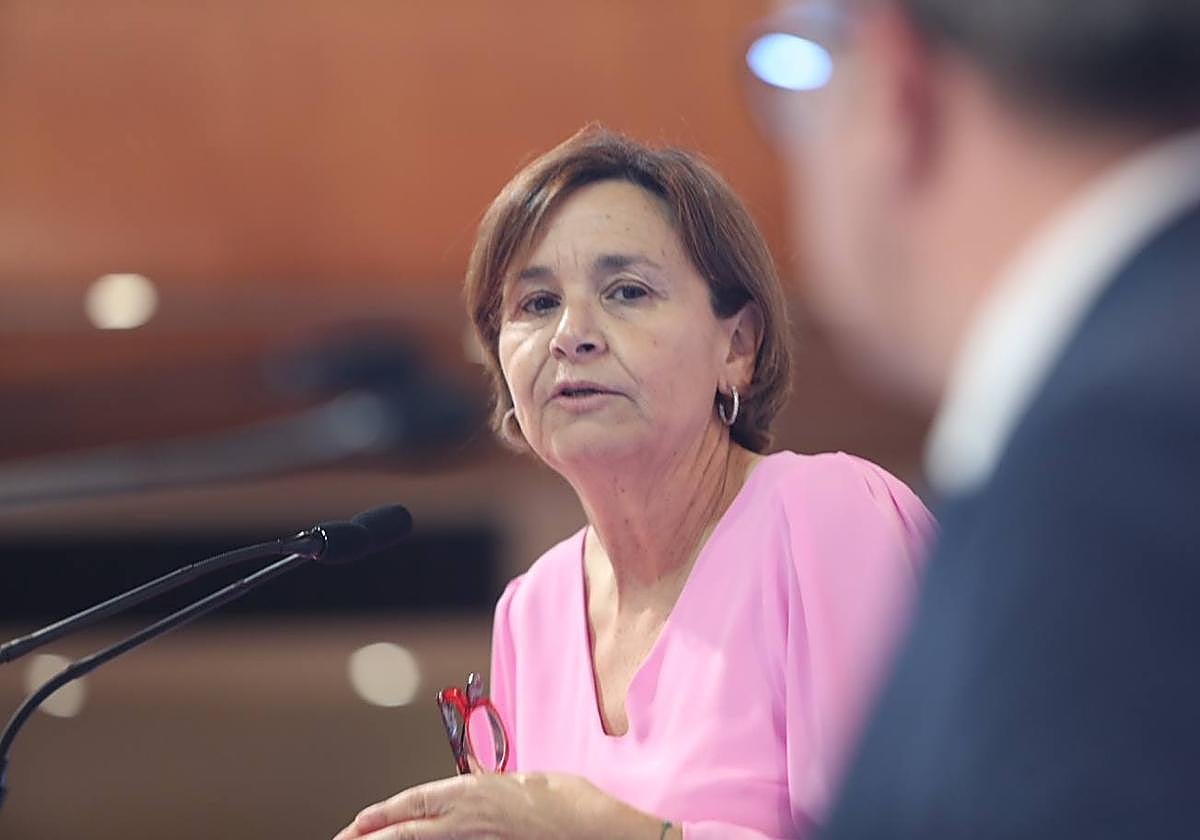 Moriyón, sobre el colector de Peñafrancia: «No hay que cometer los errores del pasado y garantizar que sea viable»