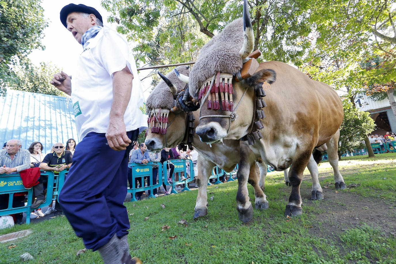 Las mejores imágenes de la segunda jornada de Agropec