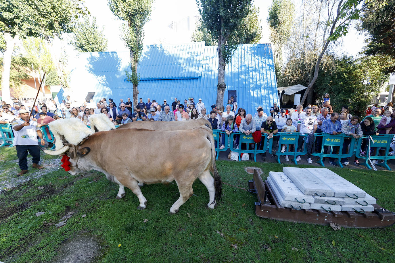 Las mejores imágenes de la segunda jornada de Agropec