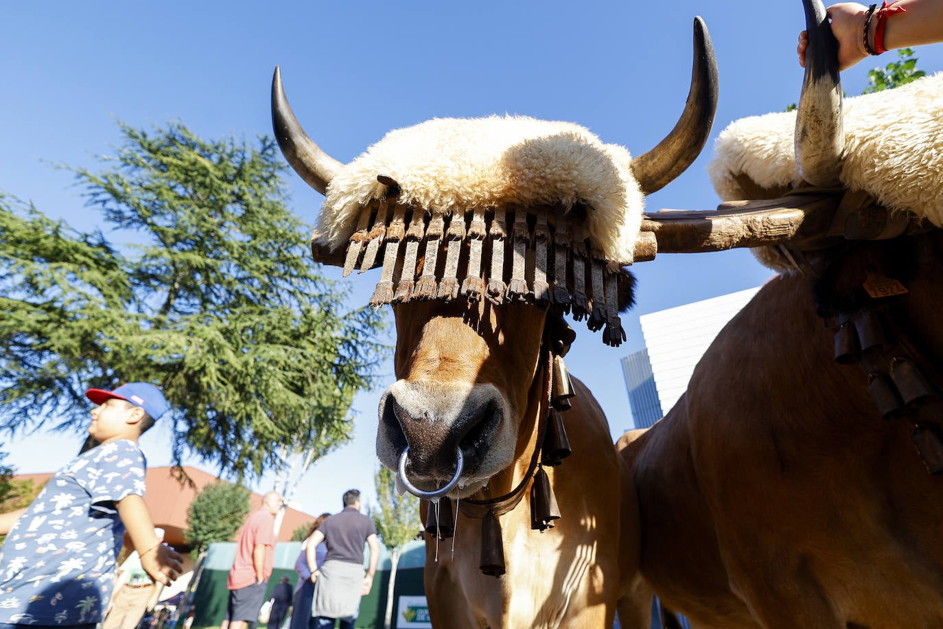 Las mejores imágenes de la segunda jornada de Agropec